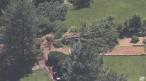 Tree giveaway to replace tornado damage in Highlands Ranch Thursday